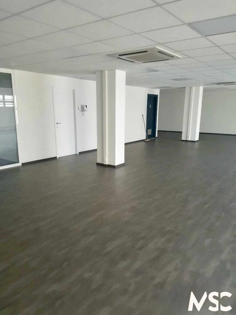 3a1a4f7130591c0ceb4a466defc389e4-pica